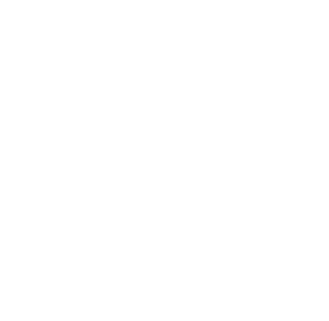 logo BluBud background